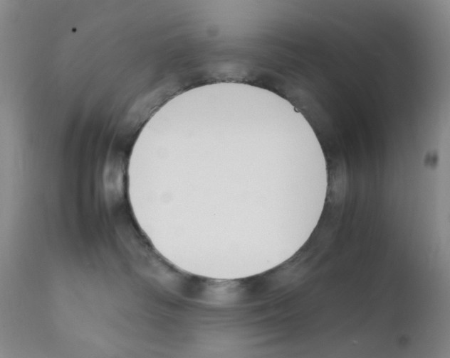 X0000111500334200908251055