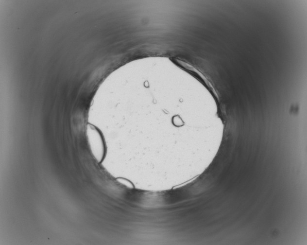 X0000111500335200908251055