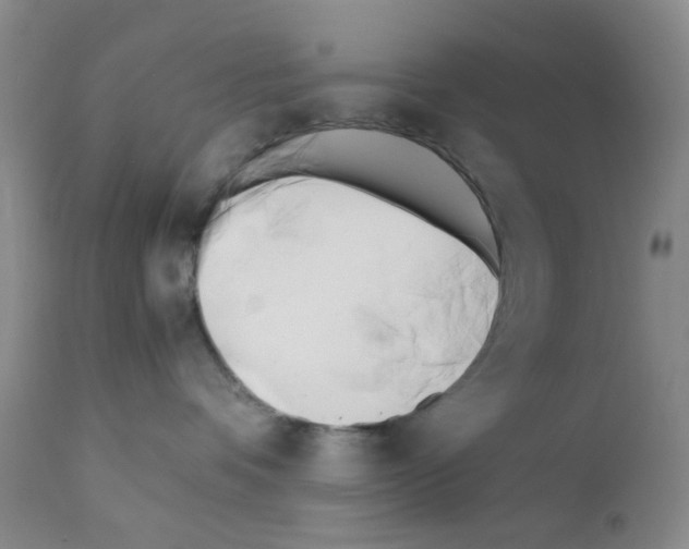 X0000111500336200908251055