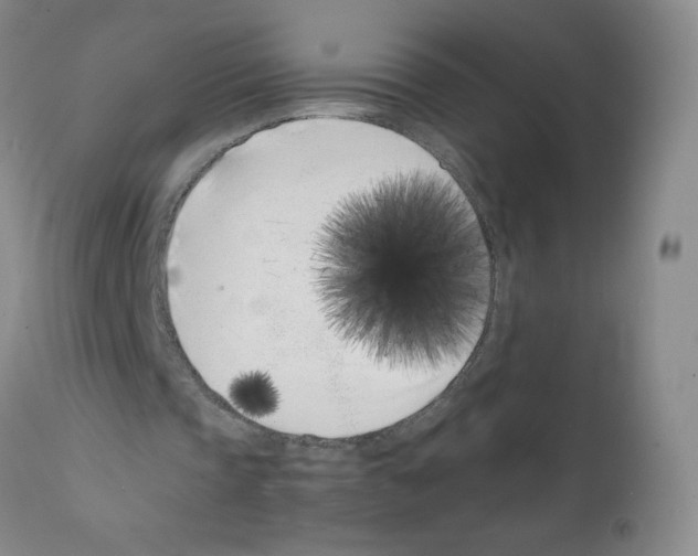 X0000111500337200908251054