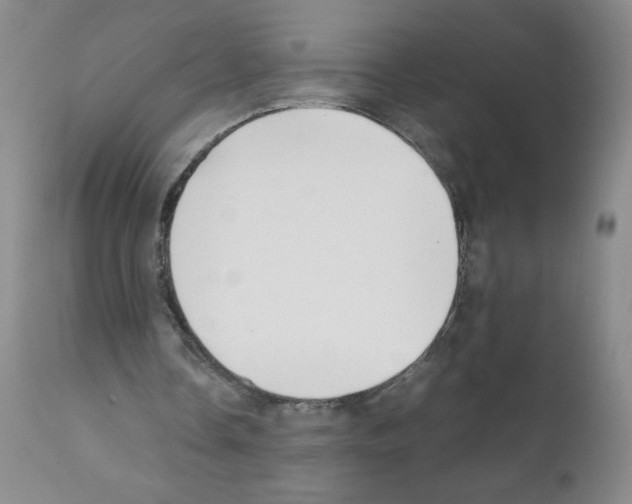 X0000111500338200908251054