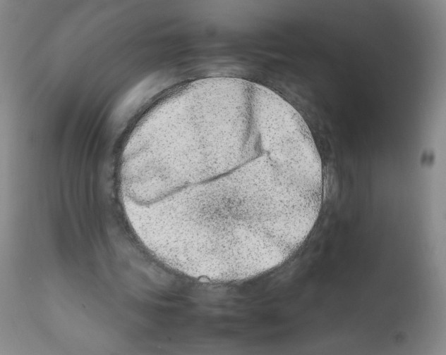 X0000111500339200908251054