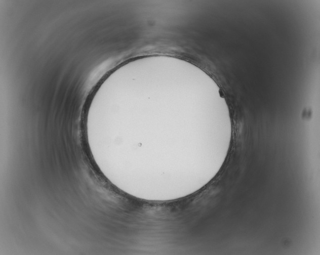 X0000111500340200908251054