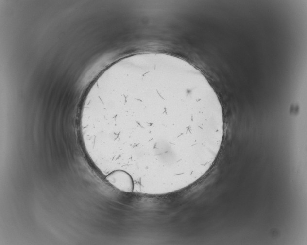 X0000111500341200908251055