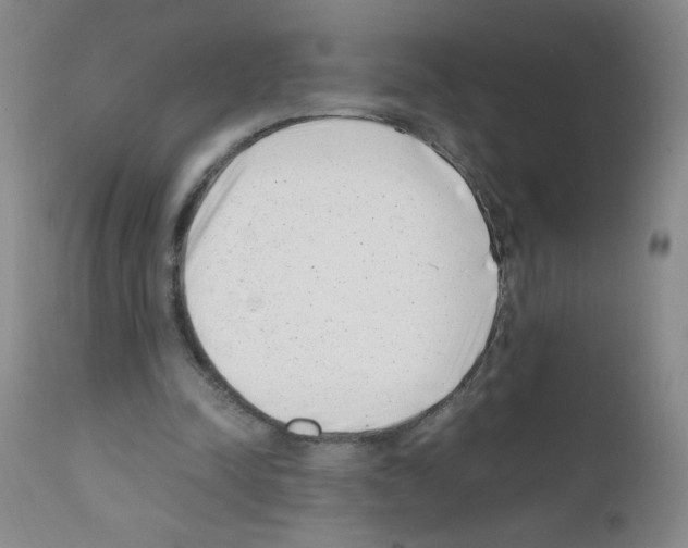 X0000111500342200908251055