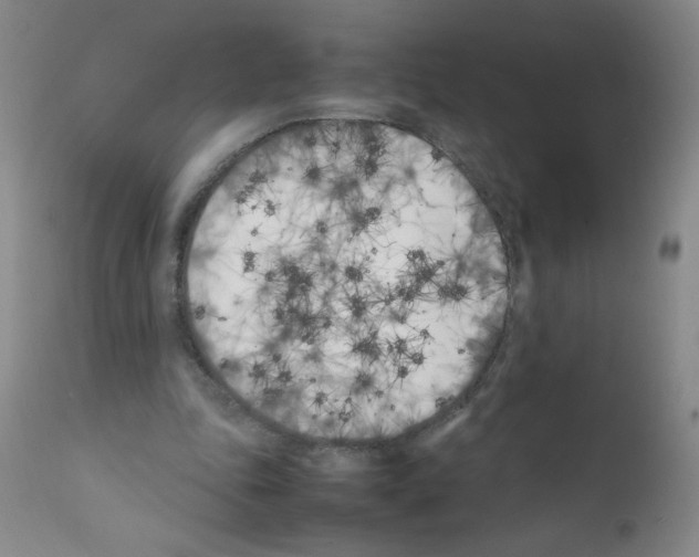 X0000111500343200908251055