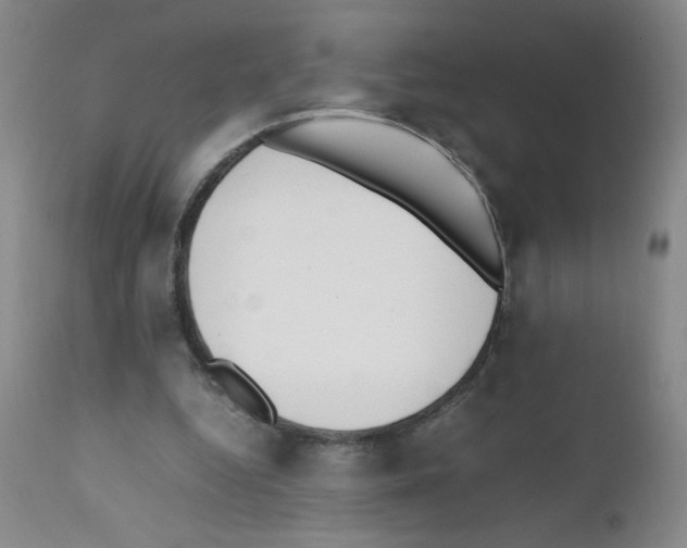 X0000111500344200908251055