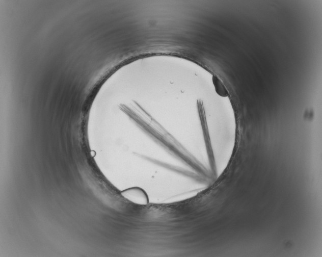 X0000111500346200908251055