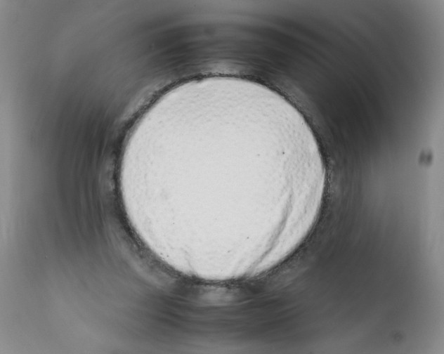 X0000111500347200908251055