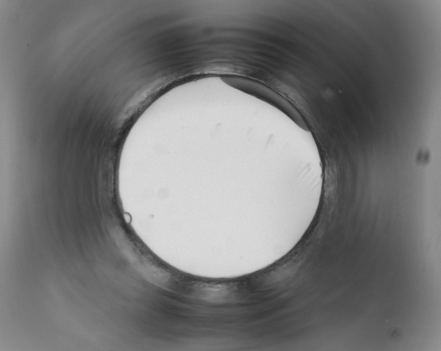 X0000111500349200908251055