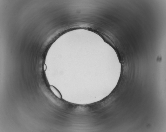 X0000111500350200908251055