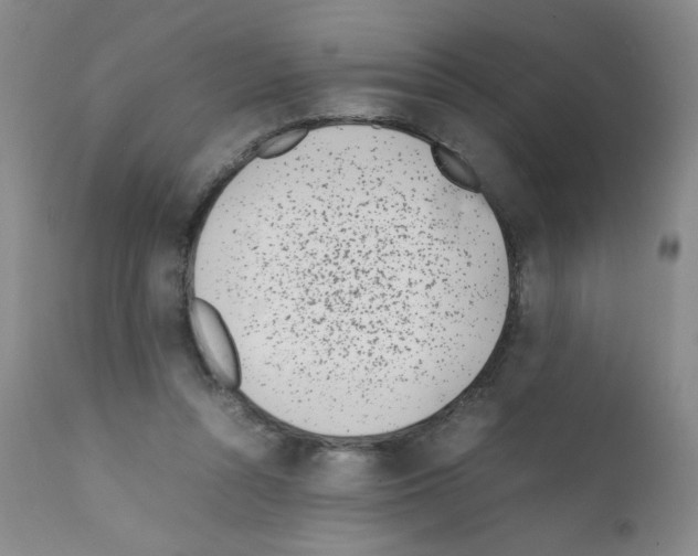 X0000111500352200908251055