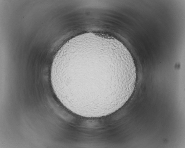 X0000111500353200908251055