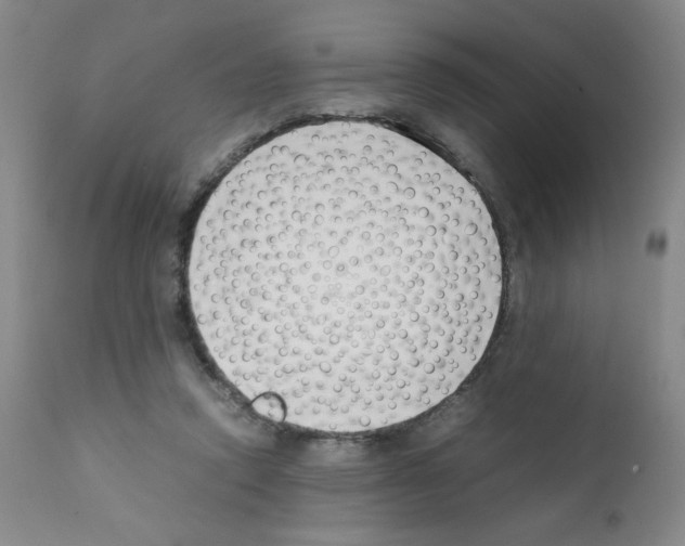 X0000111500354200908251055