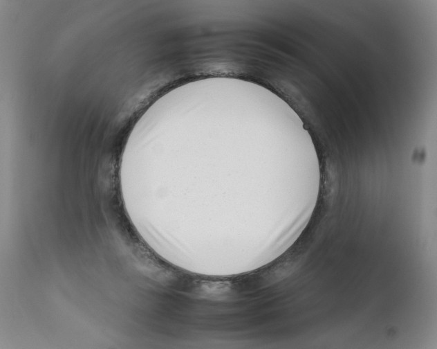 X0000111500355200908251055