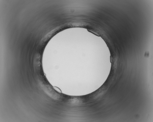 X0000111500356200908251055