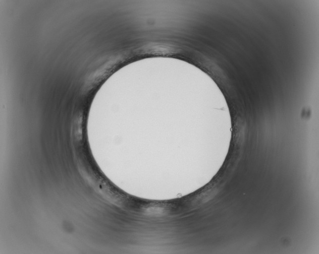 X0000111500358200908251055