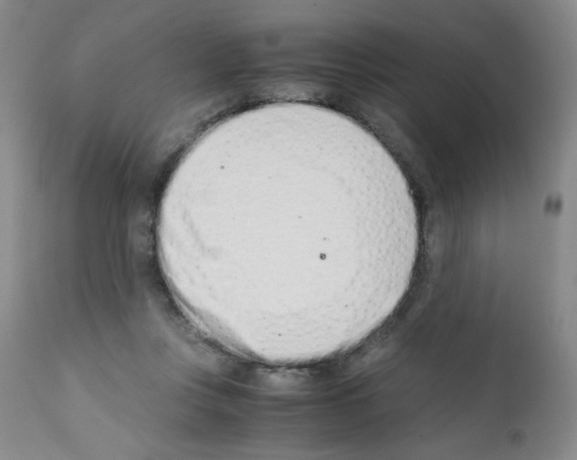 X0000111500359200908251055