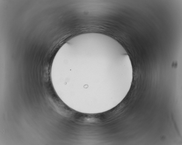 X0000111500360200908251055