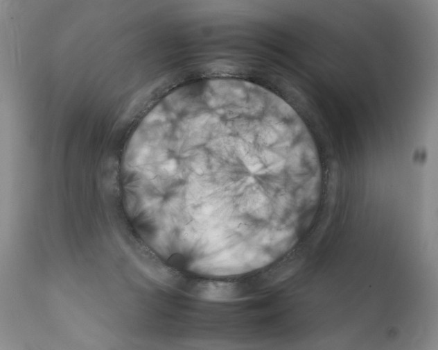 X0000111500361200908251055