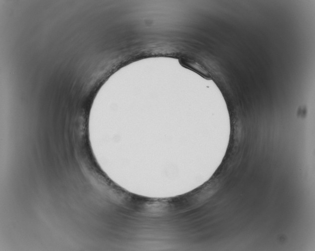 X0000111500362200908251055