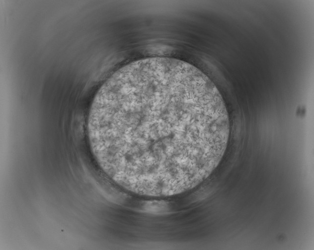 X0000111500363200908251055