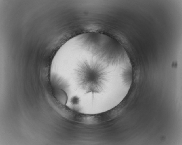 X0000111500365200908251055