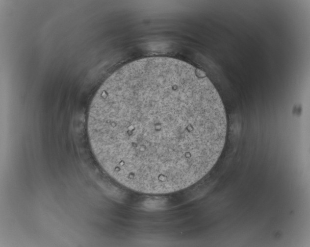 X0000111500369200908251055