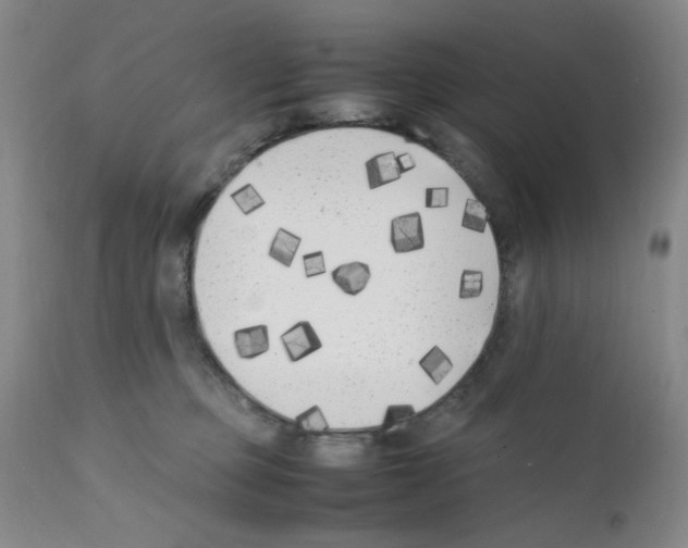 X0000111500373200908251055