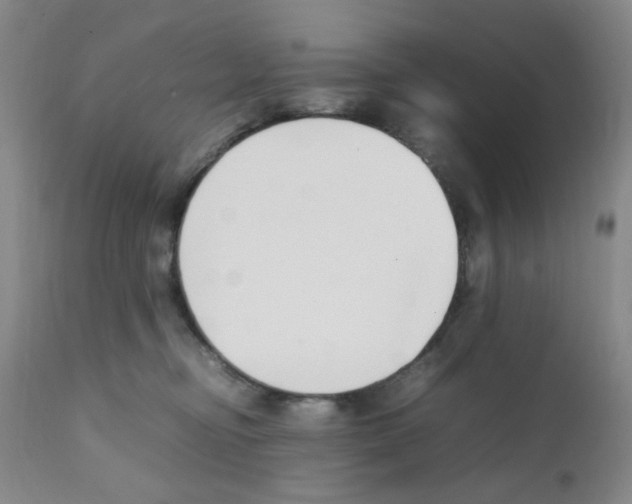 X0000111500374200908251055