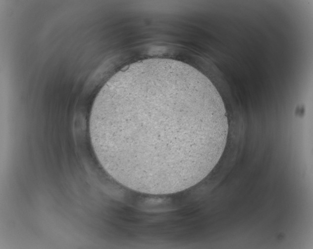 X0000111500375200908251055