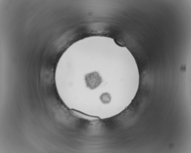 X0000111500376200908251055