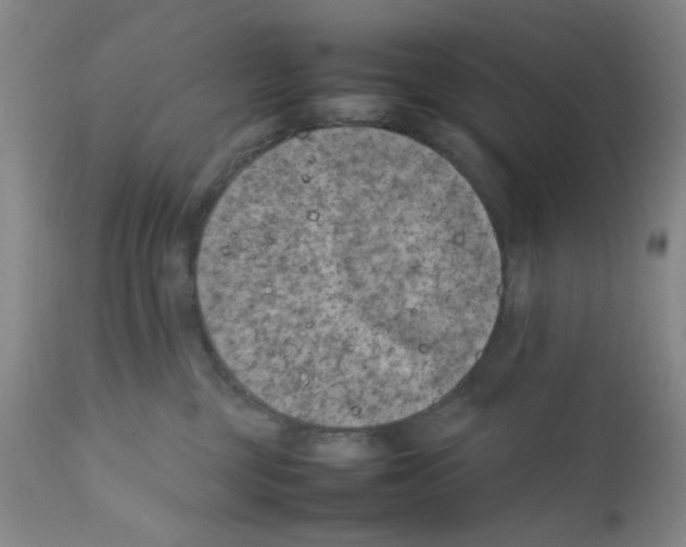 X0000111500377200908251055