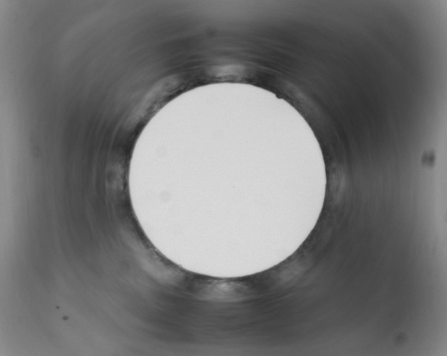 X0000111500379200908251055