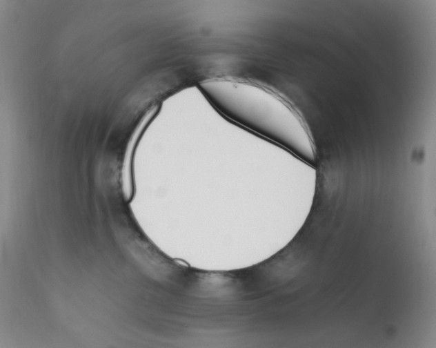 X0000111500380200908251055