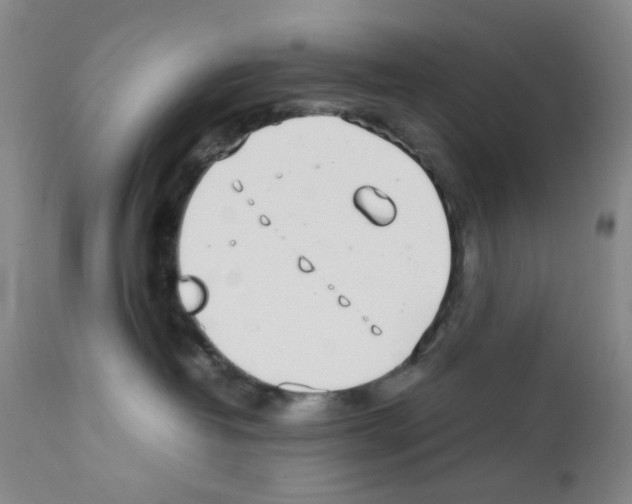 X0000111500382200908251055