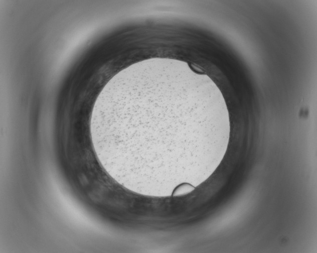 X0000111500383200908251055