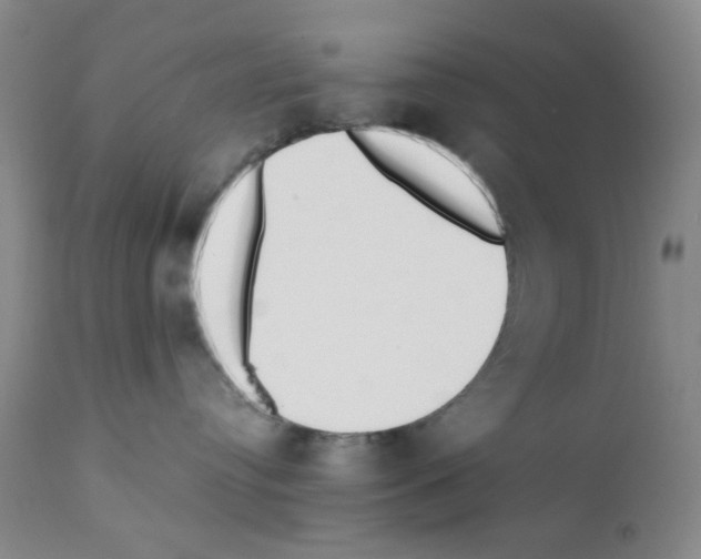 X0000111500384200908251055