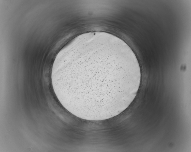 X0000111500386200908251054