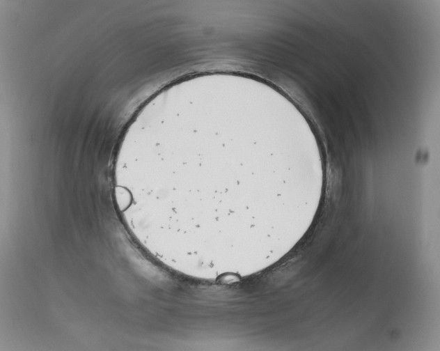 X0000111500389200908251054