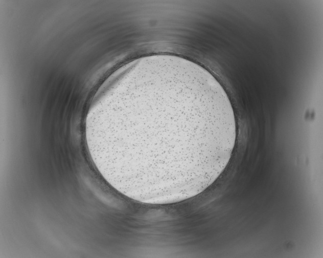 X0000111500390200908251054