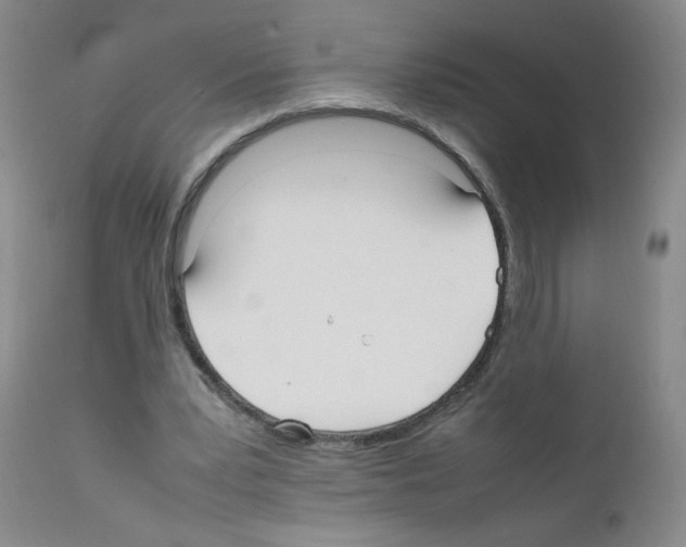 X0000111500391200908251054