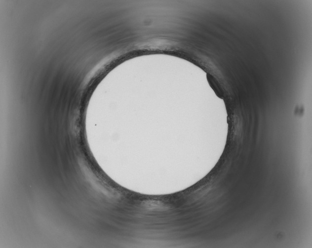 X0000111500392200908251054