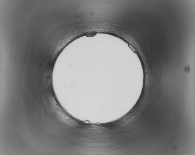 X0000111500393200908251054