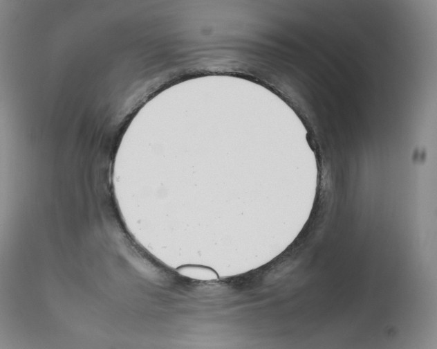 X0000111500397200908251054