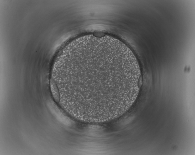 X0000111500399200908251054