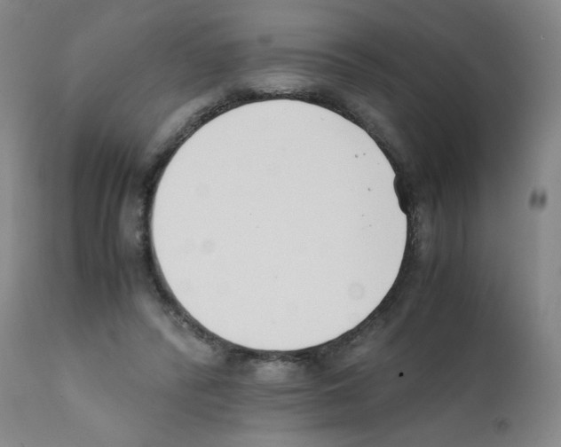 X0000111500400200908251054