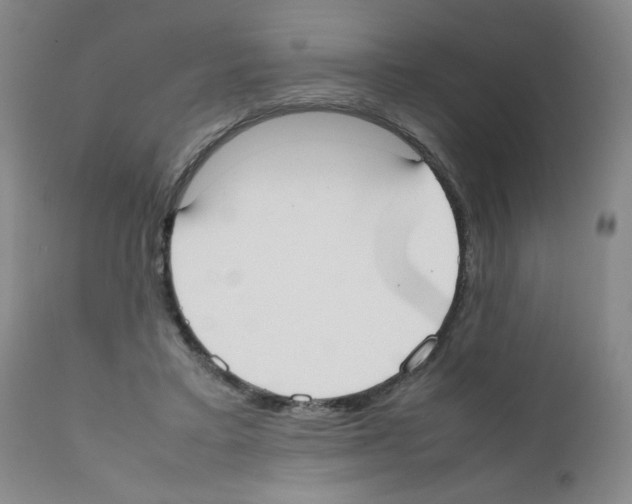 X0000111500403200908251054