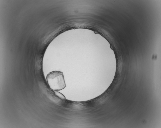 X0000111500405200908251054