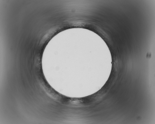 X0000111500407200908251054